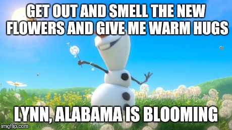 Olaf | GET OUT AND SMELL THE NEW FLOWERS AND GIVE ME WARM HUGS LYNN, ALABAMA IS BLOOMING | image tagged in olaf | made w/ Imgflip meme maker