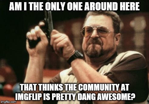 This is a pretty cool site after all, it's more than just memes. Like corbinium11 said, there's always someone to befriend here. | AM I THE ONLY ONE AROUND HERE THAT THINKS THE COMMUNITY AT IMGFLIP IS PRETTY DANG AWESOME? | image tagged in memes,am i the only one around here | made w/ Imgflip meme maker