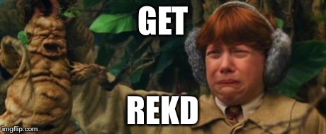 Ron VS Mandrake | GET REKD | image tagged in funny,rekt,harry potter | made w/ Imgflip meme maker
