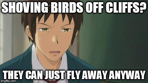 Kyon WTF | SHOVING BIRDS OFF CLIFFS? THEY CAN JUST FLY AWAY ANYWAY | image tagged in kyon wtf | made w/ Imgflip meme maker