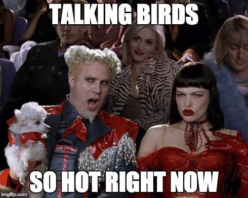Mugatu So Hot Right Now | TALKING BIRDS SO HOT RIGHT NOW | image tagged in memes,mugatu so hot right now,AdviceAnimals | made w/ Imgflip meme maker
