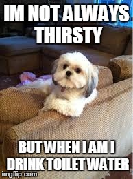 the most interesting dog in the world | IM NOT ALWAYS THIRSTY BUT WHEN I AM I DRINK TOILET WATER | image tagged in the most interesting dog in the world | made w/ Imgflip meme maker