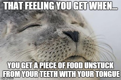 Satisfied Seal | THAT FEELING YOU GET WHEN... YOU GET A PIECE OF FOOD UNSTUCK FROM YOUR TEETH WITH YOUR TONGUE | image tagged in memes,satisfied seal,AdviceAnimals | made w/ Imgflip meme maker