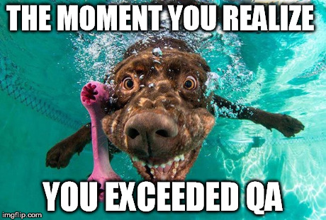 The Moment | THE MOMENT YOU REALIZE YOU EXCEEDED QA | image tagged in qa | made w/ Imgflip meme maker