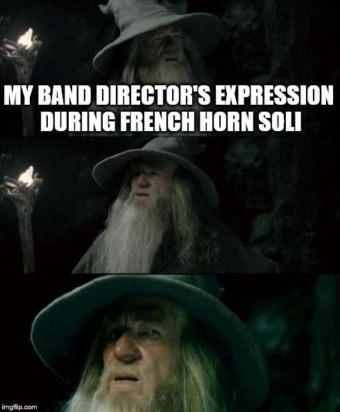 Confused Gandalf | MY BAND DIRECTOR'S EXPRESSION DURING FRENCH HORN SOLI | image tagged in memes,confused gandalf | made w/ Imgflip meme maker