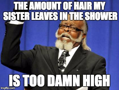 Too Damn High | THE AMOUNT OF HAIR MY SISTER LEAVES IN THE SHOWER IS TOO DAMN HIGH | image tagged in memes,too damn high | made w/ Imgflip meme maker