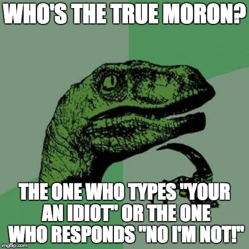 Philosoraptor | WHO'S THE TRUE MORON? THE ONE WHO TYPES "YOUR AN IDIOT" OR THE ONE WHO RESPONDS "NO I'M NOT!" | image tagged in memes,philosoraptor | made w/ Imgflip meme maker