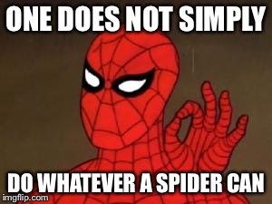 spiderman approves | ONE DOES NOT SIMPLY DO WHATEVER A SPIDER CAN | image tagged in spiderman approves | made w/ Imgflip meme maker