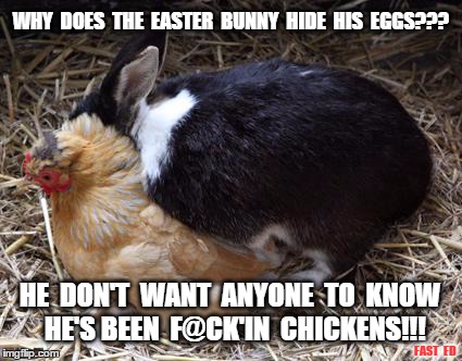 Why Does The Easter Bunny Hide His Eggs??? | WHY  DOES  THE  EASTER  BUNNY  HIDE  HIS  EGGS??? HE  DON'T  WANT  ANYONE  TO  KNOW  HE'S BEEN  F@CK'IN  CHICKENS!!! FAST  ED | image tagged in easter,bunny,eggs | made w/ Imgflip meme maker