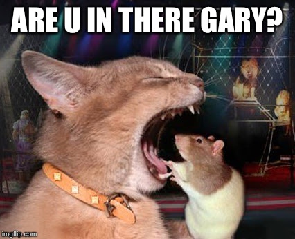 Just a quick question! | ARE U IN THERE GARY? | image tagged in mouse,i too like to live dangerously | made w/ Imgflip meme maker