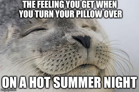 Satisfied Seal | THE FEELING YOU GET WHEN YOU TURN YOUR PILLOW OVER ON A HOT SUMMER NIGHT | image tagged in memes,satisfied seal | made w/ Imgflip meme maker