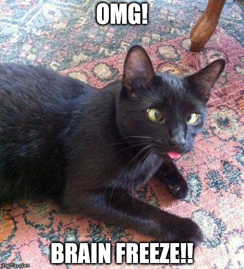 Brain Freeze | OMG! BRAIN FREEZE!! | image tagged in cat,brain freeze | made w/ Imgflip meme maker