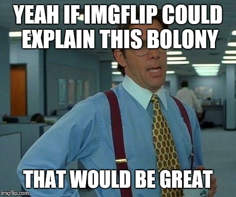 That Would Be Great Meme | YEAH IF IMGFLIP COULD EXPLAIN THIS BOLONY THAT WOULD BE GREAT | image tagged in memes,that would be great | made w/ Imgflip meme maker