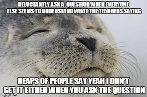 Satisfied Seal Meme | RELUCTANTLY ASK A  QUESTION WHEN EVERYONE ELSE SEEMS TO UNDERSTAND WHAT THE TEACHERS SAYING HEAPS OF PEOPLE SAY YEAH I DON'T GET IT EITHER W | image tagged in memes,satisfied seal,AdviceAnimals | made w/ Imgflip meme maker