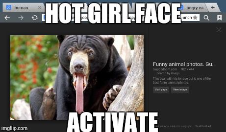 HOT GIRL FACE ACTIVATE | image tagged in funny animal | made w/ Imgflip meme maker