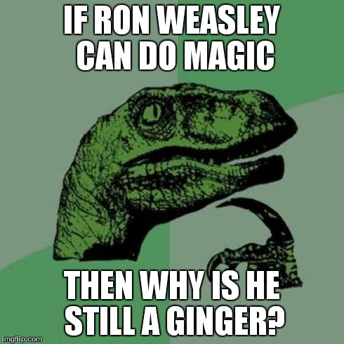 Philosoraptor Meme | IF RON WEASLEY CAN DO MAGIC THEN WHY IS HE STILL A GINGER? | image tagged in memes,philosoraptor | made w/ Imgflip meme maker