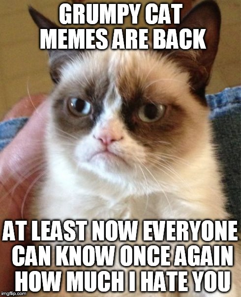Grumpy Cat | GRUMPY CAT MEMES ARE BACK AT LEAST NOW EVERYONE CAN KNOW ONCE AGAIN HOW MUCH I HATE YOU | image tagged in memes,grumpy cat | made w/ Imgflip meme maker