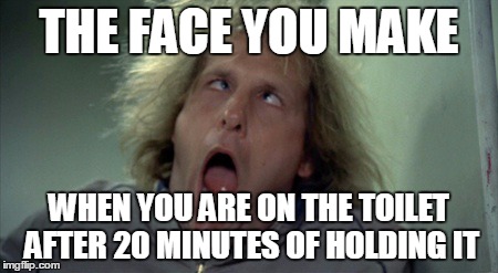 Scary Harry Meme | THE FACE YOU MAKE WHEN YOU ARE ON THE TOILET AFTER 20 MINUTES OF HOLDING IT | image tagged in memes,scary harry | made w/ Imgflip meme maker