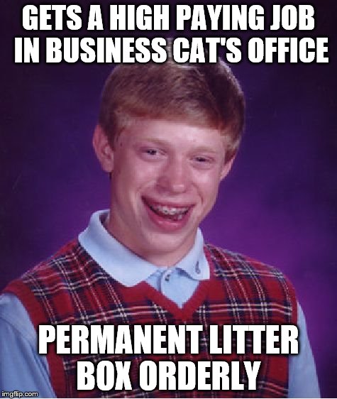 Bad Luck Brian Meme | GETS A HIGH PAYING JOB IN BUSINESS CAT'S OFFICE PERMANENT LITTER BOX ORDERLY | image tagged in memes,bad luck brian | made w/ Imgflip meme maker