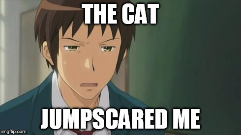 Kyon WTF | THE CAT JUMPSCARED ME | image tagged in kyon wtf | made w/ Imgflip meme maker