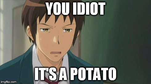 Kyon WTF | YOU IDIOT IT'S A POTATO | image tagged in kyon wtf | made w/ Imgflip meme maker