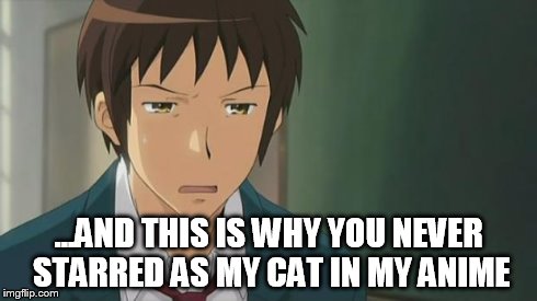 Kyon WTF | ...AND THIS IS WHY YOU NEVER STARRED AS MY CAT IN MY ANIME | image tagged in kyon wtf | made w/ Imgflip meme maker