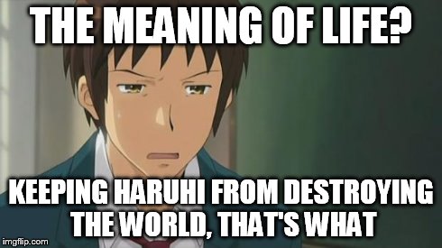 Kyon WTF | THE MEANING OF LIFE? KEEPING HARUHI FROM DESTROYING THE WORLD, THAT'S WHAT | image tagged in kyon wtf | made w/ Imgflip meme maker