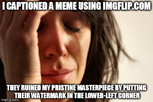 Watermark logos on memes | I CAPTIONED A MEME USING IMGFLIP.COM THEY RUINED MY PRISTINE MASTERPIECE BY PUTTING THEIR WATERMARK IN THE LOWER-LEFT CORNER | image tagged in memes,first world problems | made w/ Imgflip meme maker