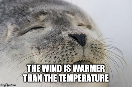 Satisfied Seal Meme | THE WIND IS WARMER THAN THE TEMPERATURE | image tagged in memes,satisfied seal | made w/ Imgflip meme maker