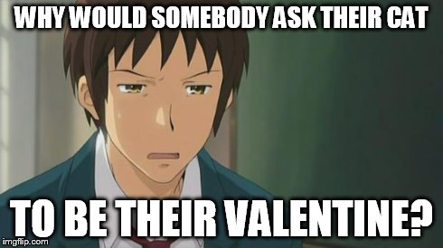Kyon WTF | WHY WOULD SOMEBODY ASK THEIR CAT TO BE THEIR VALENTINE? | image tagged in kyon wtf | made w/ Imgflip meme maker