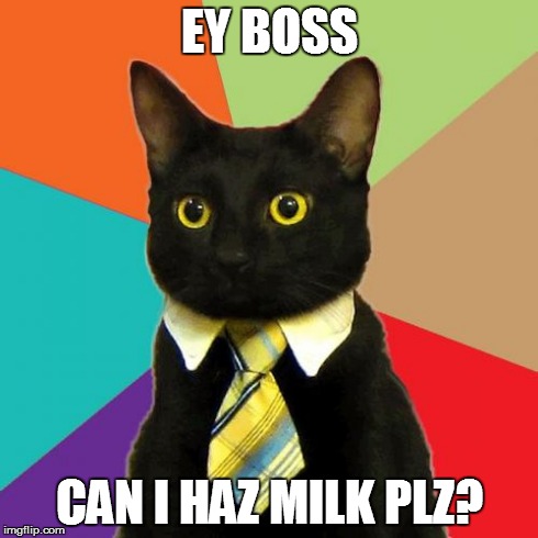 Business Cat | EY BOSS CAN I HAZ MILK PLZ? | image tagged in memes,business cat | made w/ Imgflip meme maker