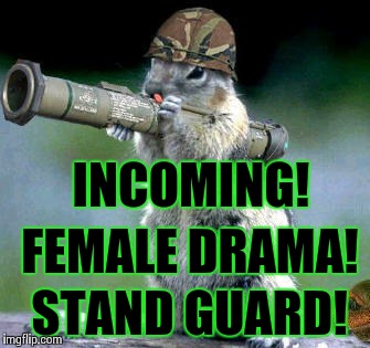 Bazooka Squirrel Meme | INCOMING! STAND GUARD! FEMALE DRAMA! | image tagged in memes,bazooka squirrel | made w/ Imgflip meme maker