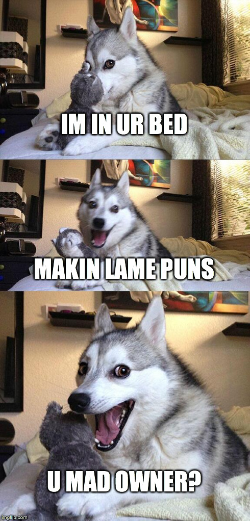 Bad Pun Dog | IM IN UR BED MAKIN LAME PUNS U MAD OWNER? | image tagged in memes,bad pun dog | made w/ Imgflip meme maker