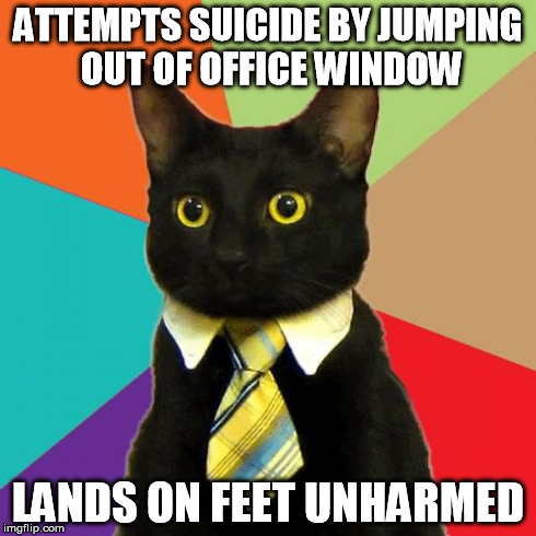 Business Cat Meme | ATTEMPTS SUICIDE BY JUMPING OUT OF OFFICE WINDOW LANDS ON FEET UNHARMED | image tagged in memes,business cat | made w/ Imgflip meme maker