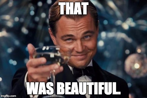 Leonardo Dicaprio Cheers Meme | THAT WAS BEAUTIFUL. | image tagged in memes,leonardo dicaprio cheers | made w/ Imgflip meme maker