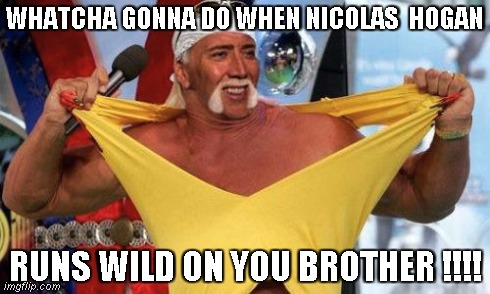 nicolas cage hogan ..... | WHATCHA GONNA DO WHEN NICOLAS  HOGAN RUNS WILD ON YOU BROTHER !!!! | image tagged in memes,funny,wwe,hulk hogan,movies,nicolas cage | made w/ Imgflip meme maker
