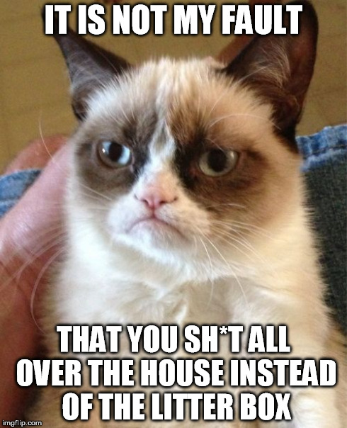 Grumpy Cat Meme | IT IS NOT MY FAULT THAT YOU SH*T ALL OVER THE HOUSE INSTEAD OF THE LITTER BOX | image tagged in memes,grumpy cat | made w/ Imgflip meme maker