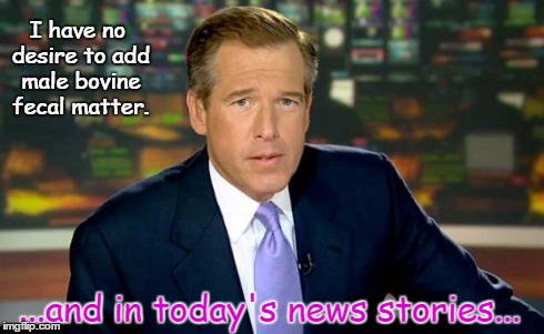 Brian Williams Was There Meme | I have no desire to add male bovine fecal matter. ...and in today's news stories... | image tagged in memes,brian williams was there | made w/ Imgflip meme maker