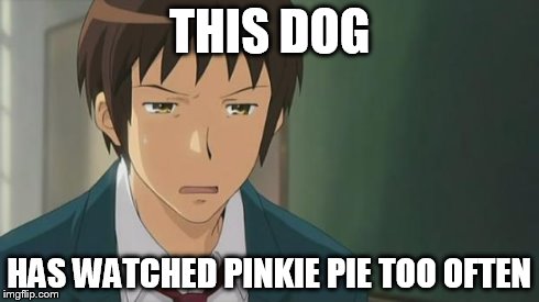 Kyon WTF | THIS DOG HAS WATCHED PINKIE PIE TOO OFTEN | image tagged in kyon wtf | made w/ Imgflip meme maker