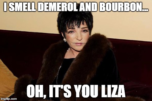 Liza Minnelli Back to Rehab | I SMELL DEMEROL AND BOURBON... OH, IT'S YOU LIZA | image tagged in rehab,lizaminnelli,addict | made w/ Imgflip meme maker