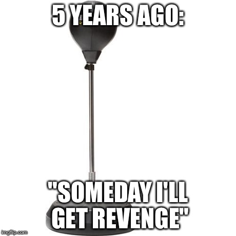 5 YEARS AGO: "SOMEDAY I'LL GET REVENGE" | image tagged in boxing bag | made w/ Imgflip meme maker