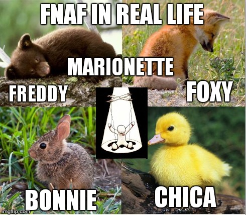 FNAF | FNAF IN REAL LIFE FREDDY FOXY BONNIE CHICA MARIONETTE | image tagged in fnaf | made w/ Imgflip meme maker