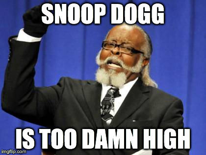 Too Damn High | SNOOP DOGG IS TOO DAMN HIGH | image tagged in memes,too damn high | made w/ Imgflip meme maker