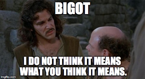 Princess Bride | BIGOT I DO NOT THINK IT MEANS WHAT YOU THINK IT MEANS. | image tagged in princess bride | made w/ Imgflip meme maker