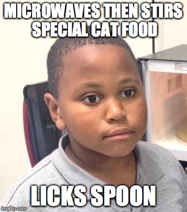 Minor Mistake Marvin Meme | MICROWAVES THEN STIRS SPECIAL CAT FOOD LICKS SPOON | image tagged in memes,minor mistake marvin,AdviceAnimals | made w/ Imgflip meme maker