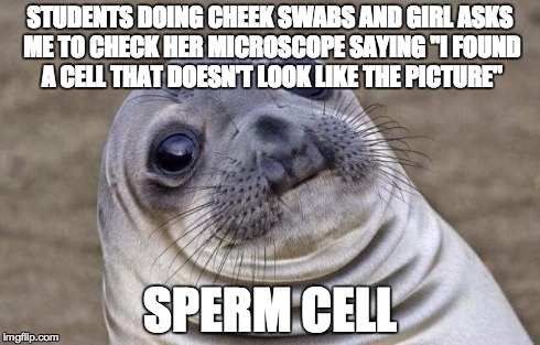 Awkward Moment Sealion Meme | STUDENTS DOING CHEEK SWABS AND GIRL ASKS ME TO CHECK HER MICROSCOPE SAYING "I FOUND A CELL THAT DOESN'T LOOK LIKE THE PICTURE" SPERM CELL | image tagged in memes,awkward moment sealion,AdviceAnimals | made w/ Imgflip meme maker
