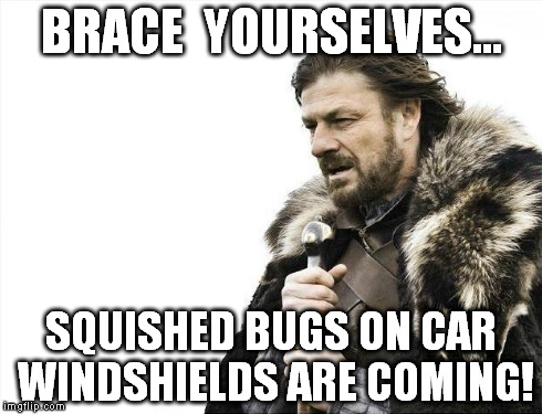 no more snow, but dead bugs all over the damn windows, coming soon! | BRACE  YOURSELVES... SQUISHED BUGS ON CAR WINDSHIELDS ARE COMING! | image tagged in memes,brace yourselves x is coming | made w/ Imgflip meme maker