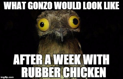 A Fowl Surprise | WHAT GONZO WOULD LOOK LIKE AFTER A WEEK WITH 
RUBBER CHICKEN | image tagged in memes,weird stuff i do potoo | made w/ Imgflip meme maker