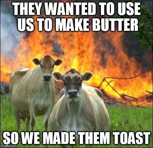 THEY WANTED TO USE US TO MAKE BUTTER SO WE MADE THEM TOAST | image tagged in evil cows | made w/ Imgflip meme maker