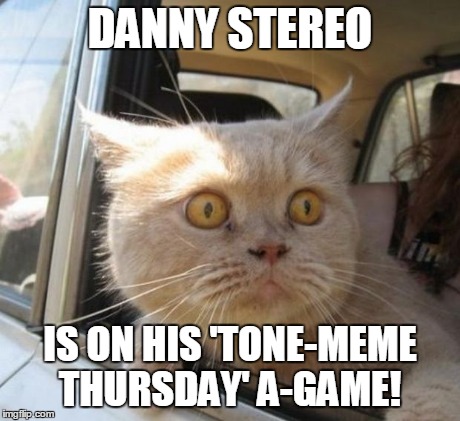 amazed cat | DANNY STEREO IS ON HIS 'TONE-MEME THURSDAY' A-GAME! | image tagged in amazed cat | made w/ Imgflip meme maker